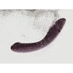 Womanizer OG - Aubergine