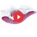 We-Vibe - Nova 2 Rabbit Vibrator - Blauw