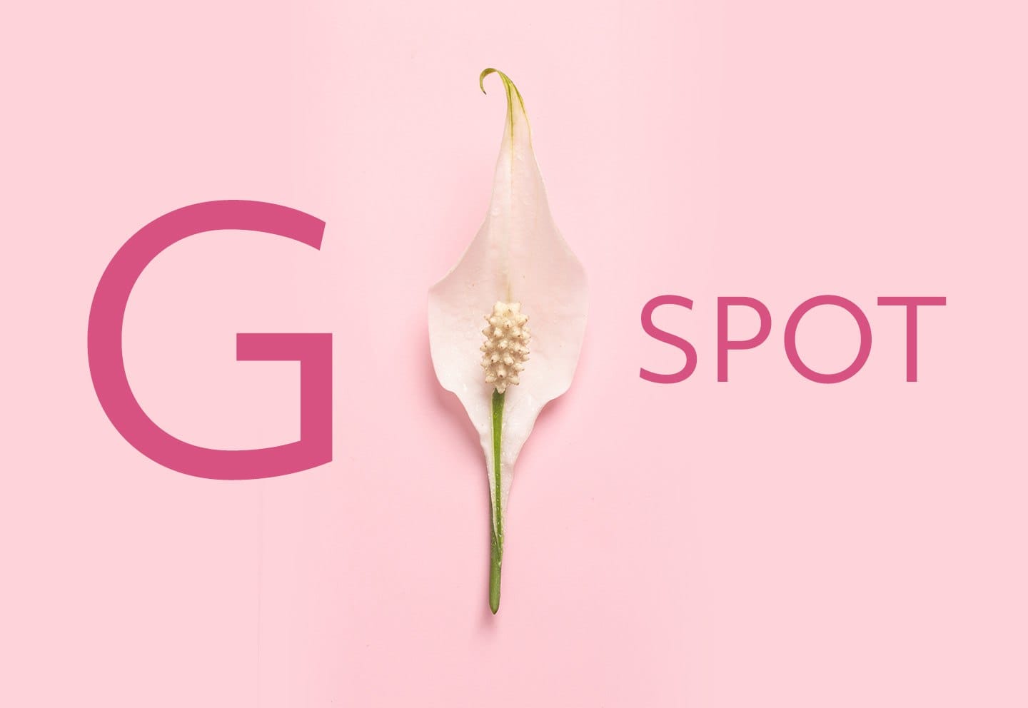 Wat is de G-spot?