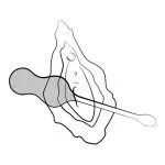 ROMP - Cello Vibratie ballen