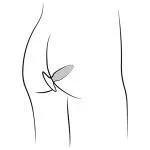 ROMP - Bass Vibrerende Buttplug