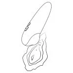 ROMP - Shine X Luchtdruk Vibrator