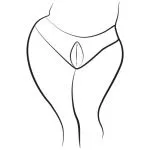 ROMP - Wave Vulva Oplegvibrator