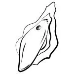 ROMP - Wave Vulva Oplegvibrator